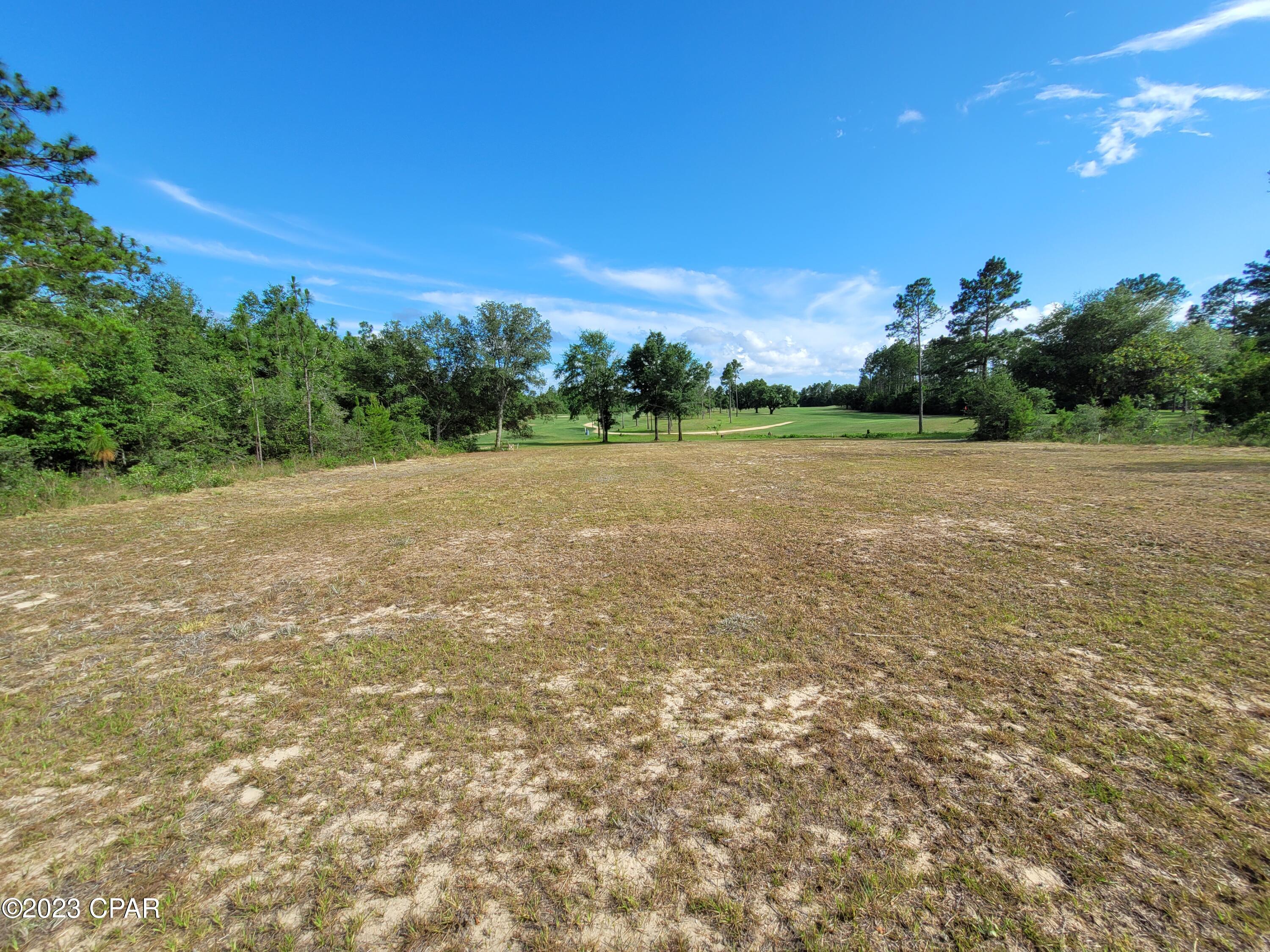 3493 Gondolier Drive Chipley, FL 32428 - Photo 2 of 4
