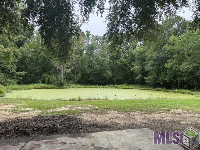 3376 Piper Road Slaughter, LA 70777 - Photo 3 of 25