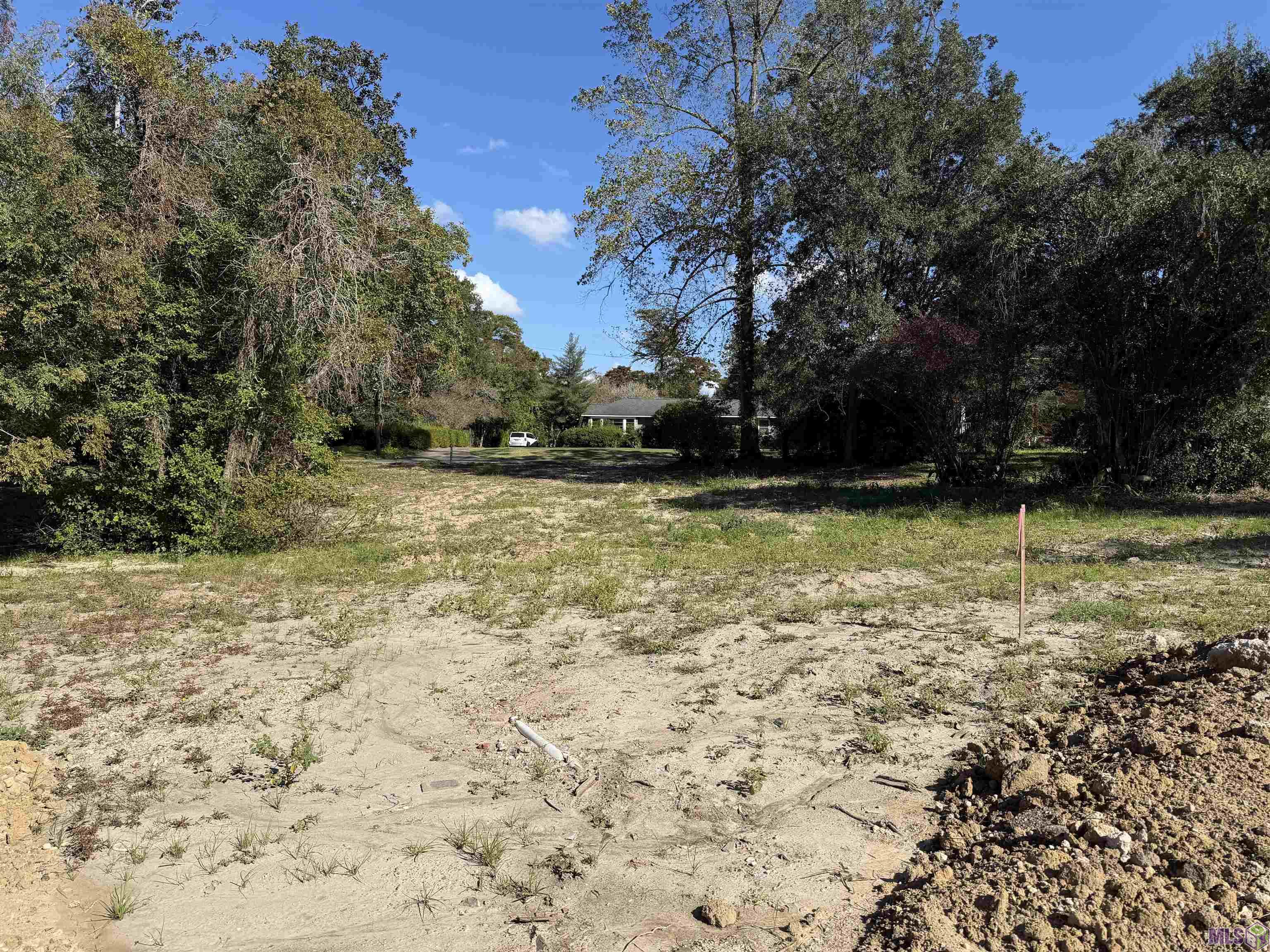 23 A Chandler Drive Baton Rouge, LA 70808 - Photo 4 of 5