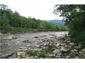 16 Cobb Farm Road Bartlett, NH 03812 - Photo 3 of 6