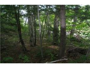16 Cobb Farm Road Bartlett, NH 03812 - Photo 6 of 6