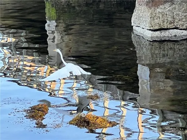 $3,500 | 109 2nd Street, Newport, RI 02840