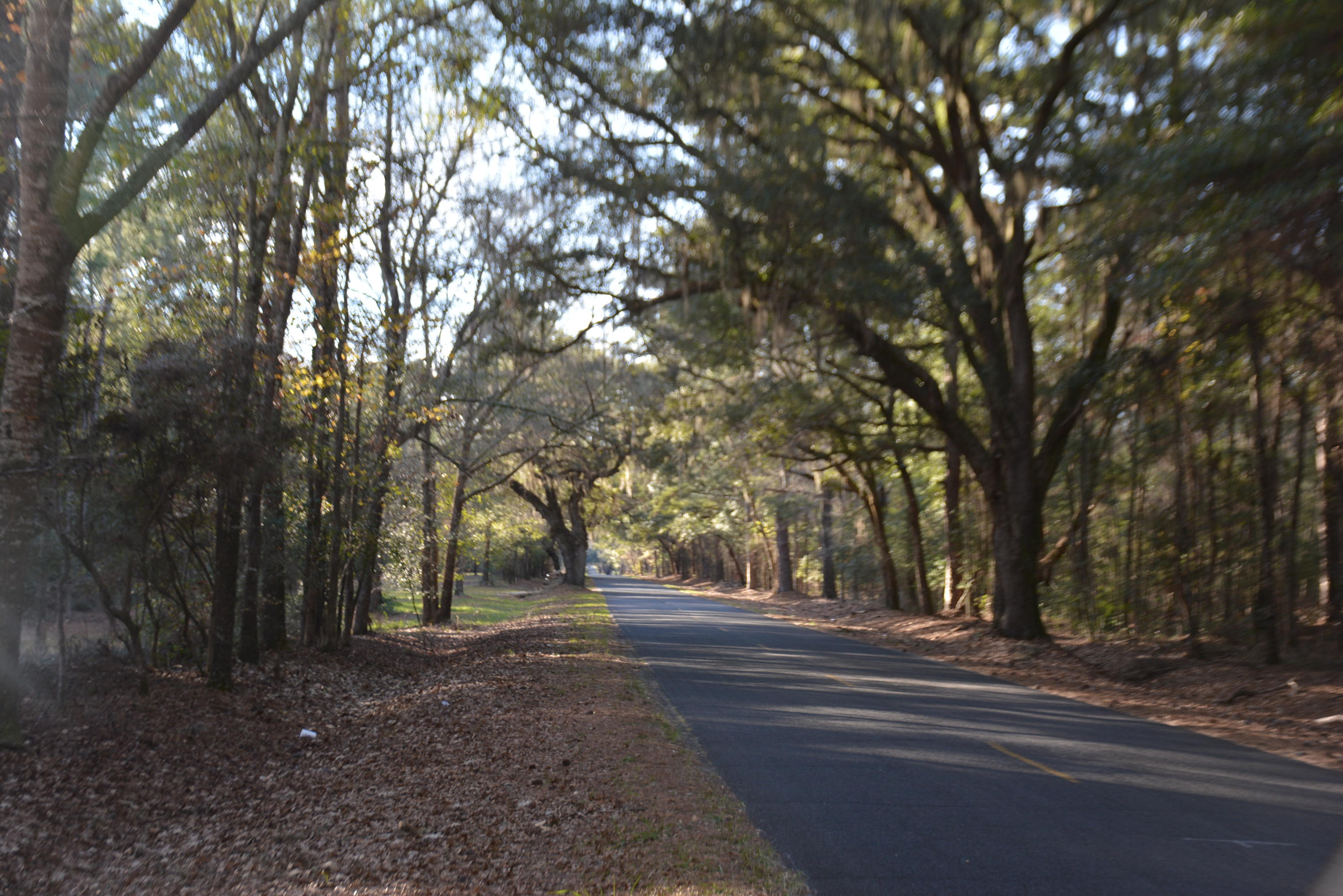 7967 Little Britton Road Meggett, SC 29449 - Photo 2 of 15 DSC_2883_1109