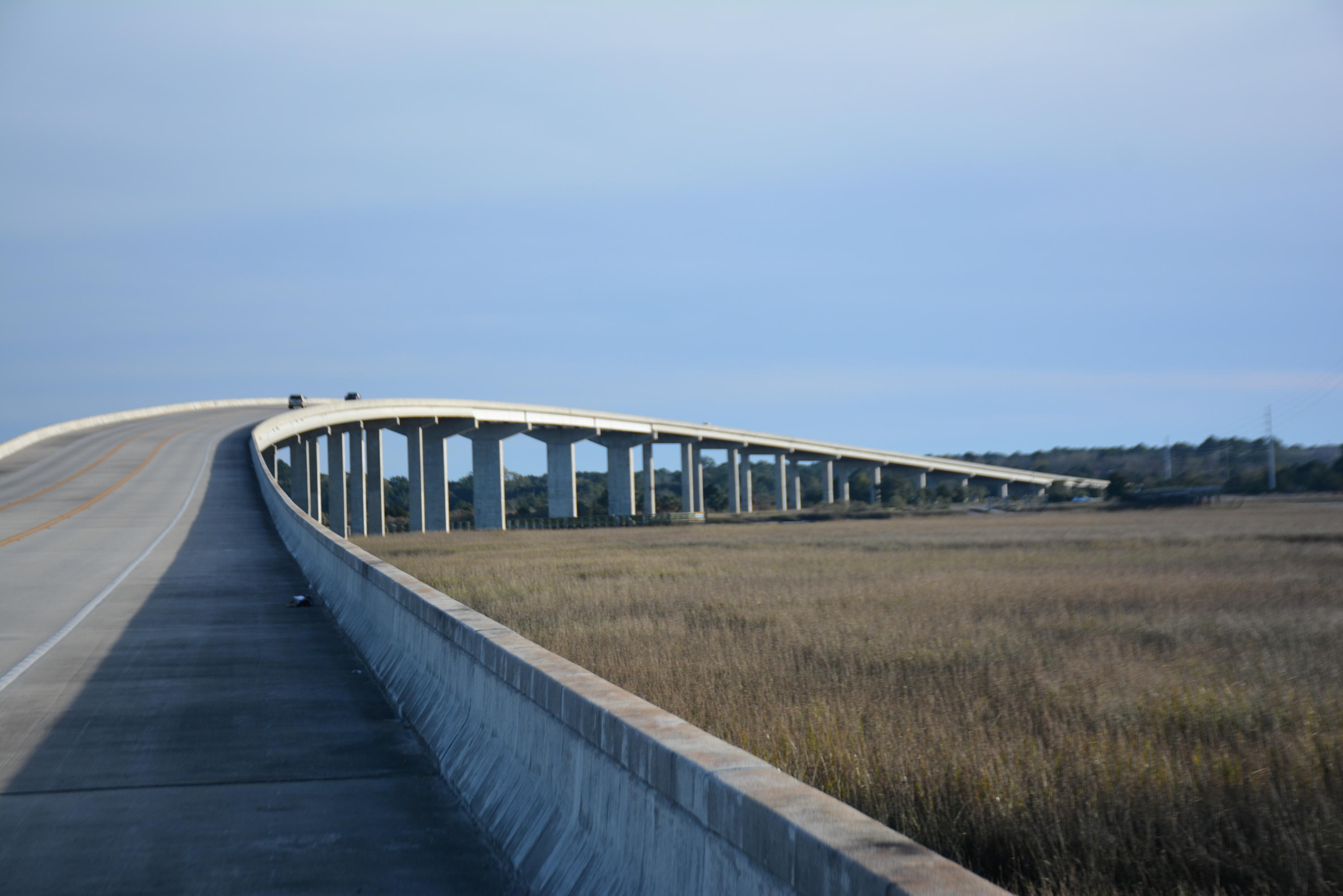 7967 Little Britton Road Meggett, SC 29449 - Photo 11 of 15 DSC_2898_1124