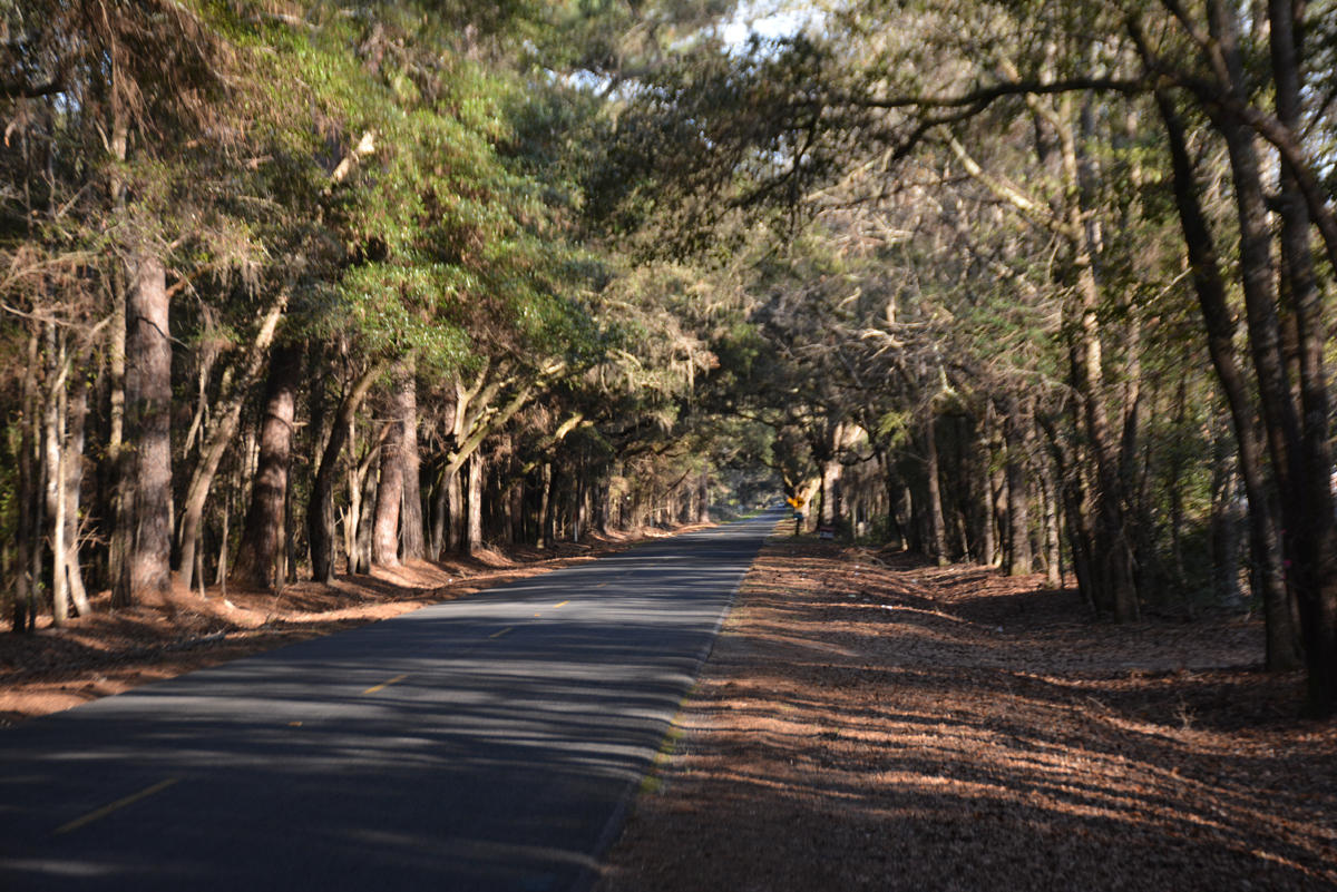 7967 Little Britton Road Meggett, SC 29449 - Photo 4 of 15 DSC_2885_1111