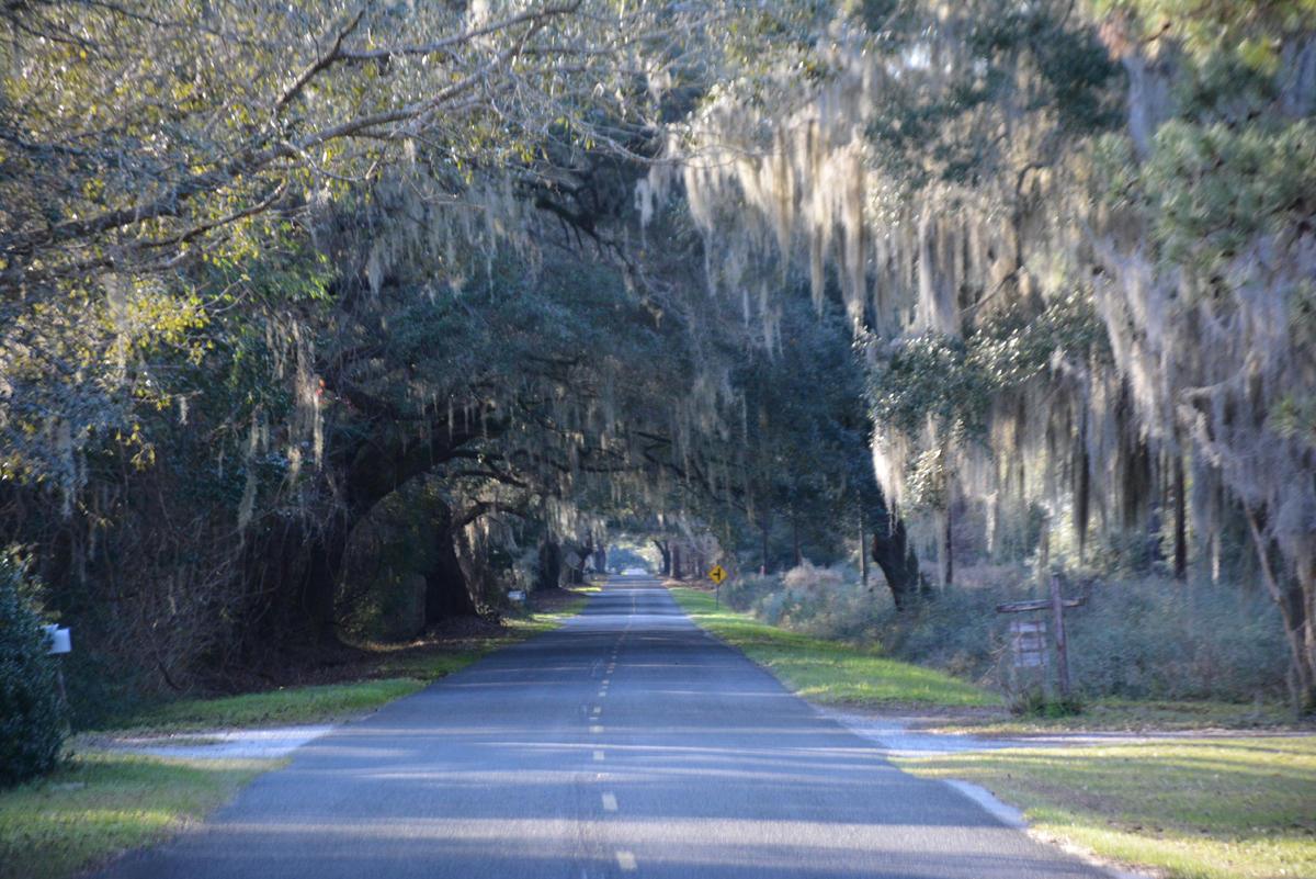 7967 Little Britton Road Meggett, SC 29449 - Photo 8 of 15 DSC_2892_1118