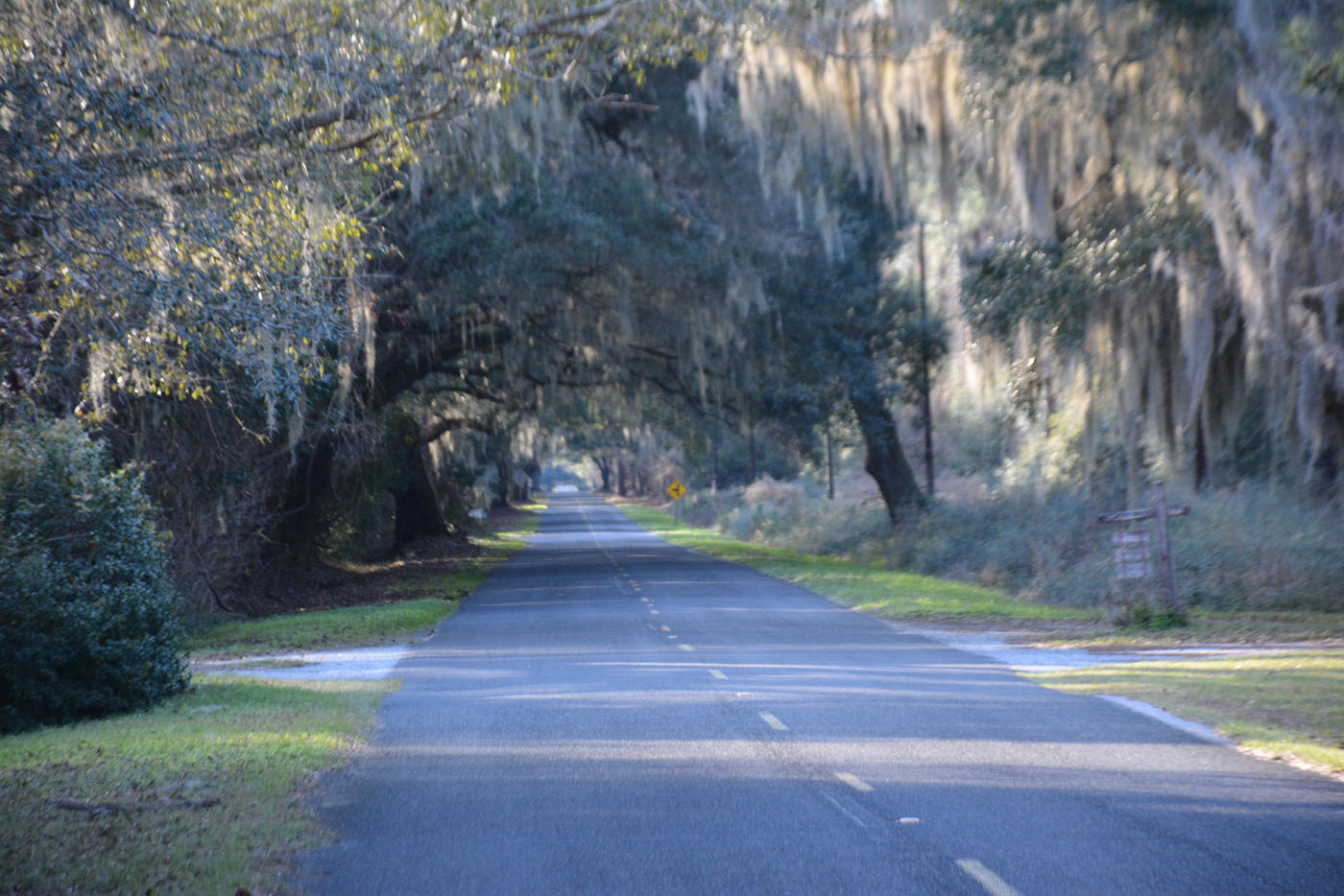 7967 Little Britton Road Meggett, SC 29449 - Photo 9 of 15 DSC_2893_1119