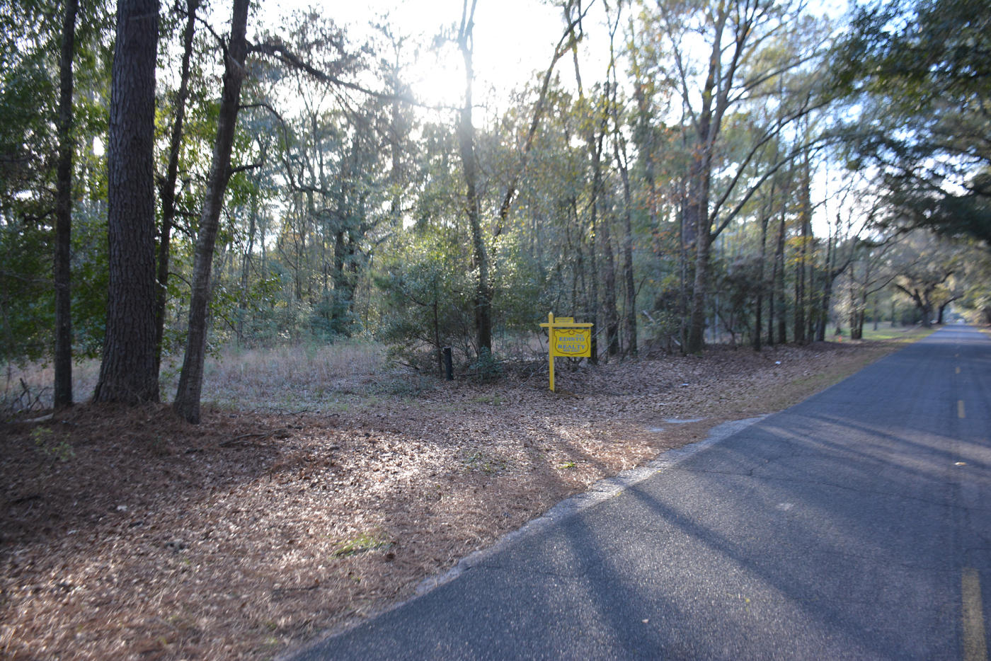 7967 Little Britton Road Meggett, SC 29449 - Photo 10 of 15 DSC_2894_1120