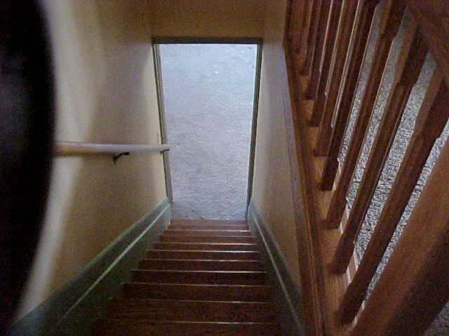 8632 Stony Lake Road Jackson, MI 49201 - Photo 8 of 11 Photo 8
