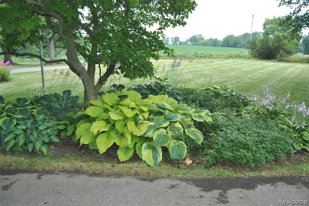 3735 West Oregon Road Lapeer, MI 48446 - Photo 44 of 76