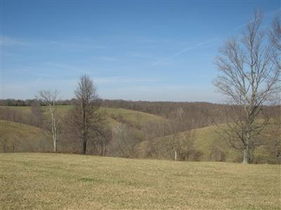 0 Lot 3 Harrison Ridge Road Dry Ridge, KY 41035 - Photo 2 of 2
