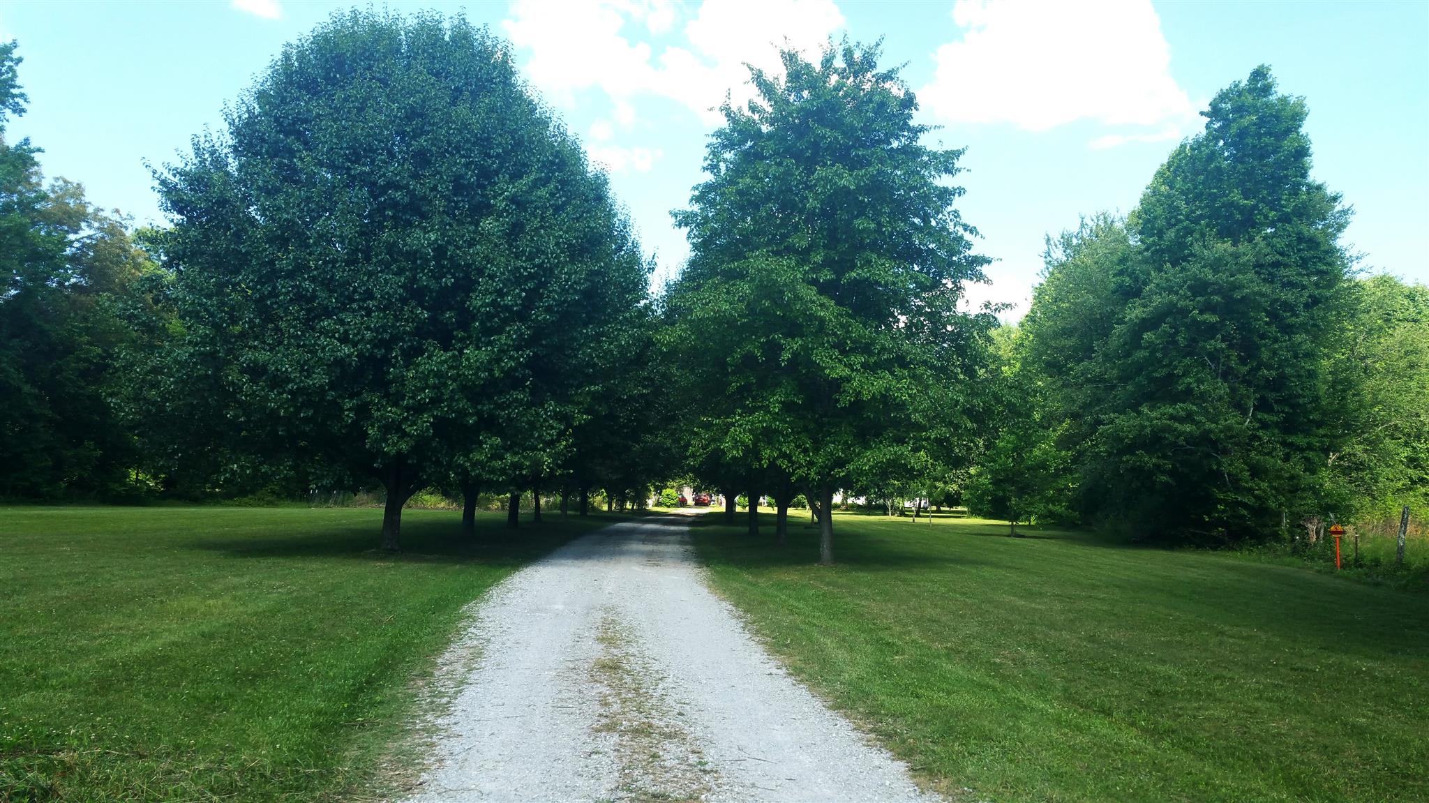 2694 Goose Pond Road Manchester, TN 37355 - Photo 3 of 19 a view of green field with trees in the background