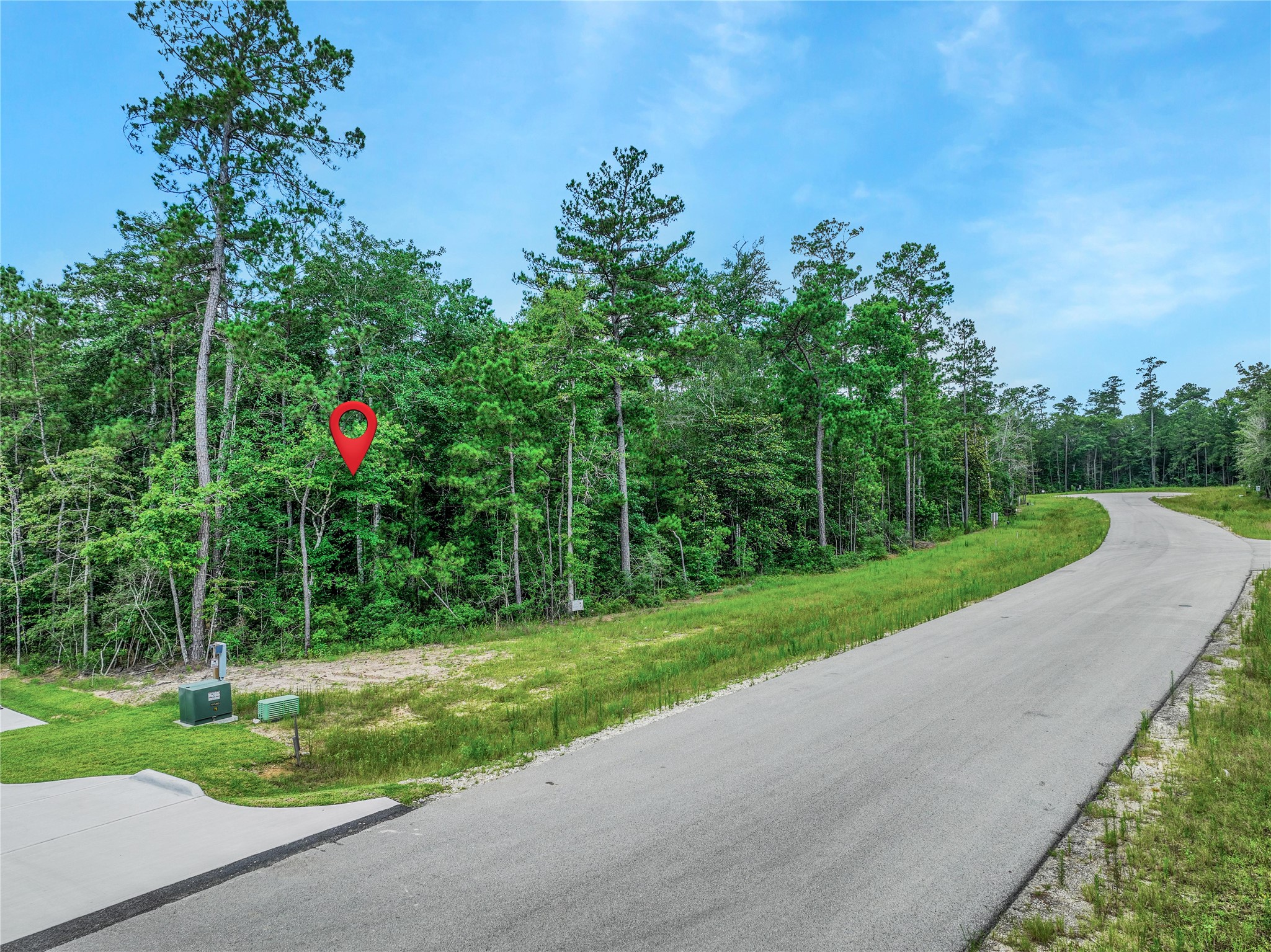 103 Eagle Run Road Willis, TX 77378 - Photo 3 of 35 a view of a park with large trees
