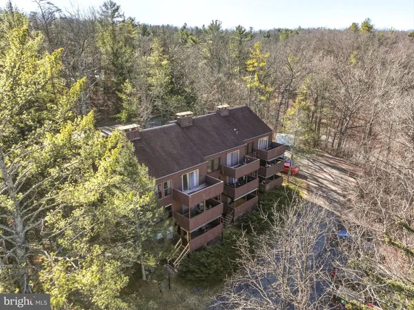 a view of a large house with a mountain in the forest