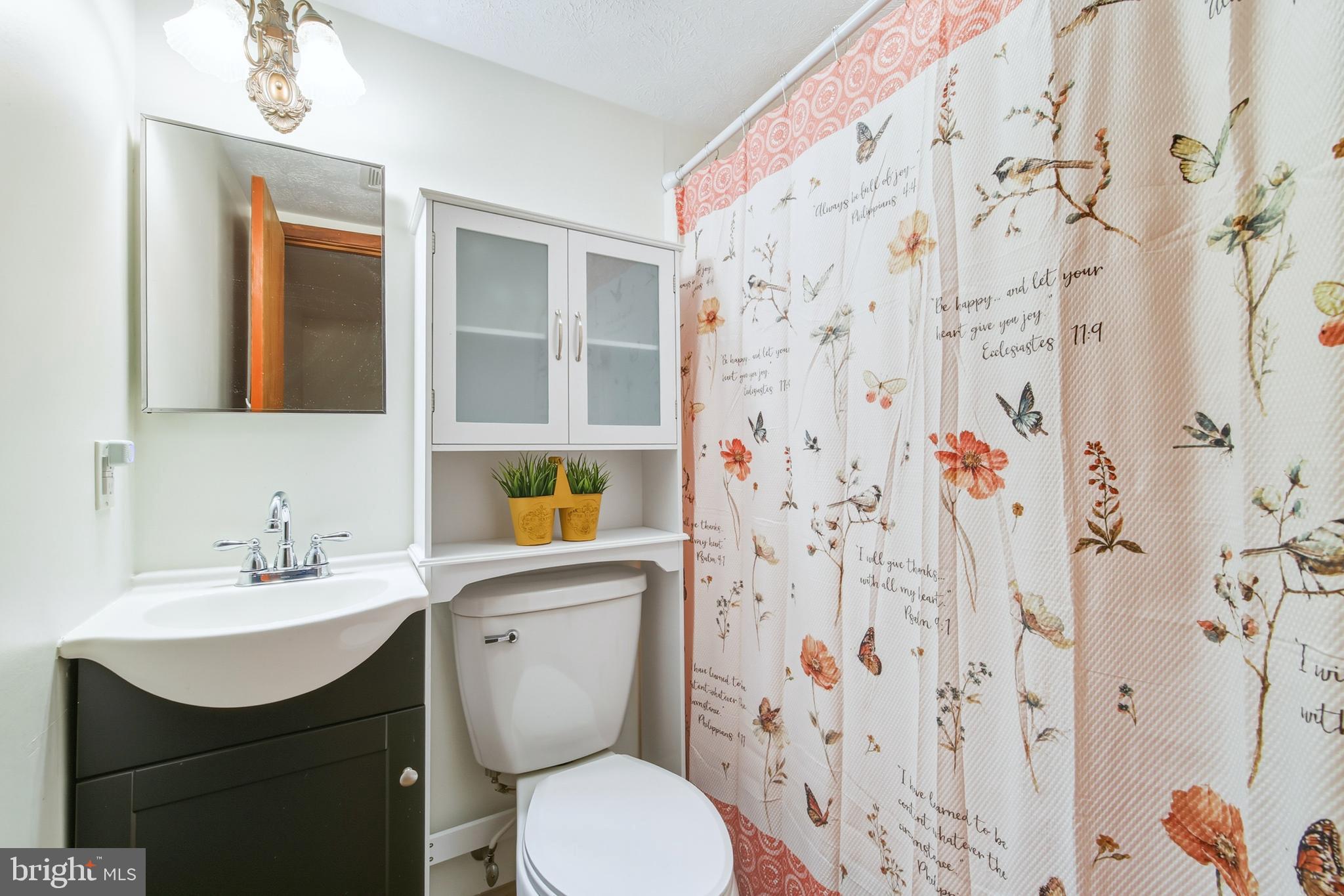 274 The Hill Road, Unit 13A Basye, VA 22810 - Photo 22 of 41 Primary Bath