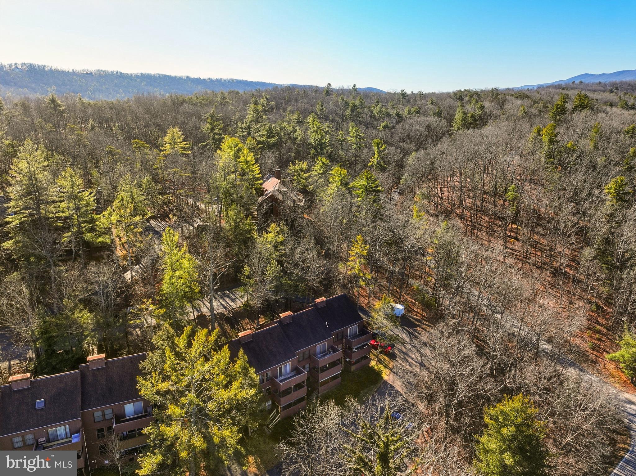 274 The Hill Road, Unit 13A Basye, VA 22810 - Photo 31 of 41