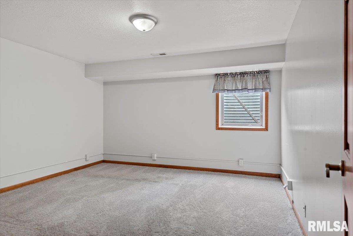 310 Pine Ridge Lane Athens, IL 62613 - Photo 46 of 67