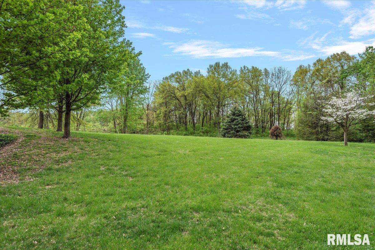 310 Pine Ridge Lane Athens, IL 62613 - Photo 56 of 67