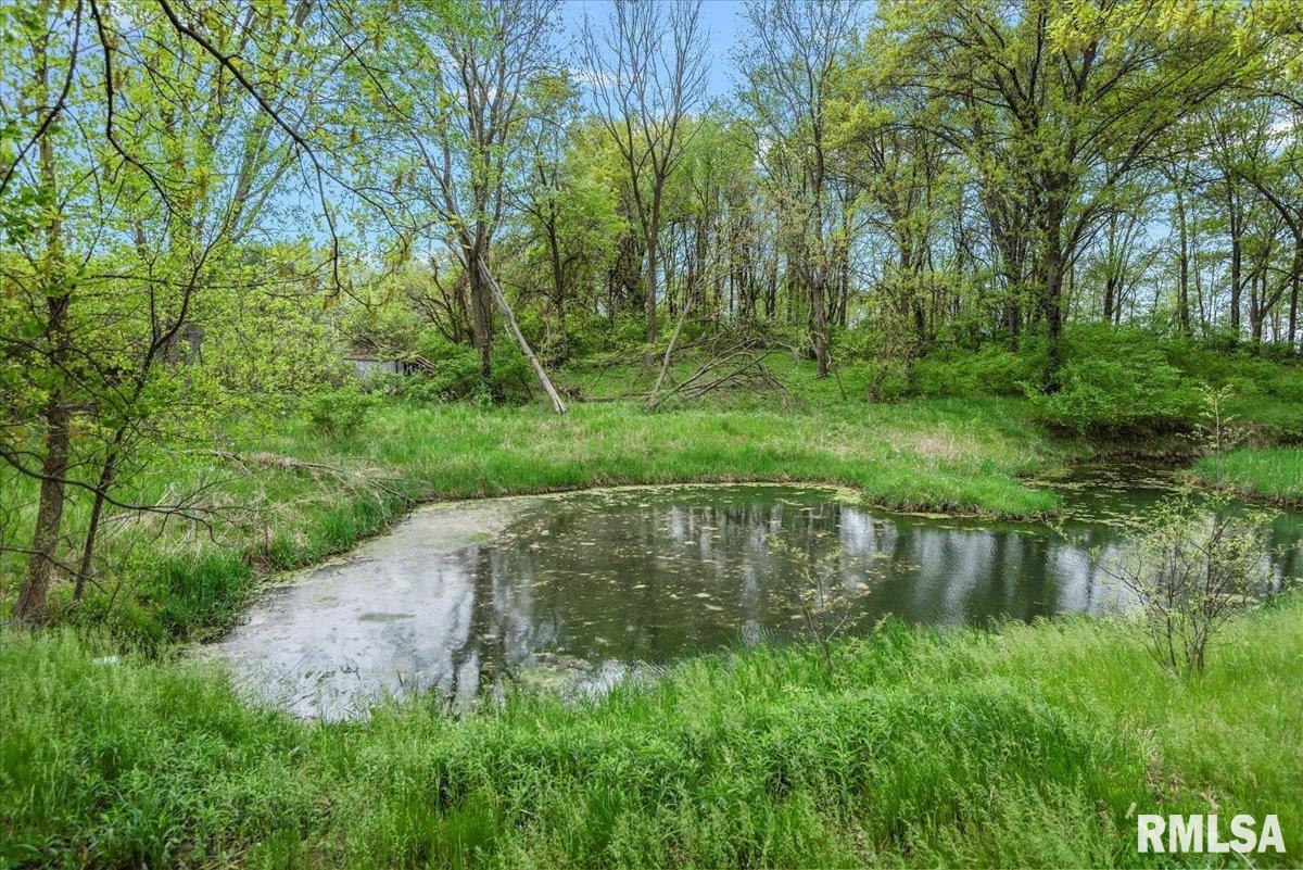 310 Pine Ridge Lane Athens, IL 62613 - Photo 62 of 67