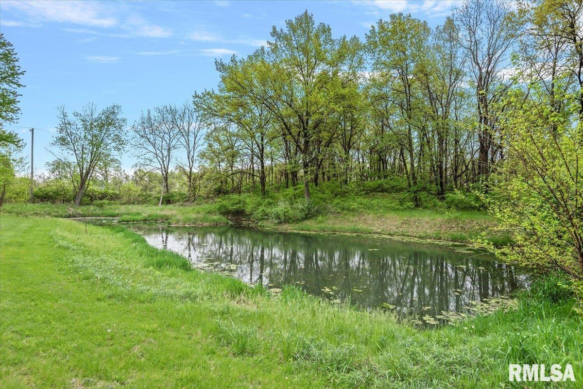 310 Pine Ridge Lane Athens, IL 62613 - Photo 64 of 67