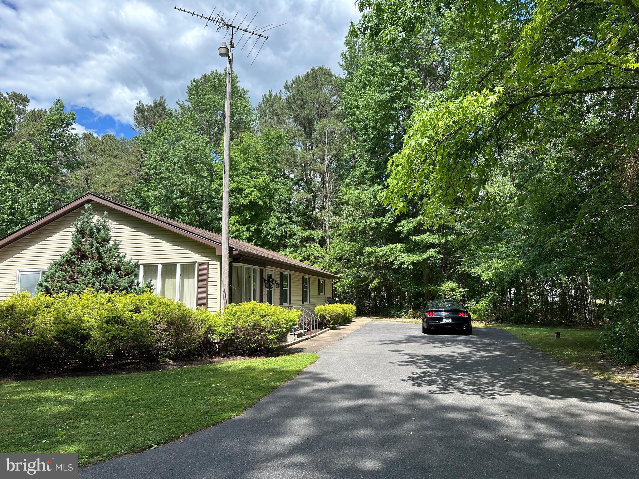 28440 Bloomery Road Federalsburg, MD 21632 - Photo 83 of 94