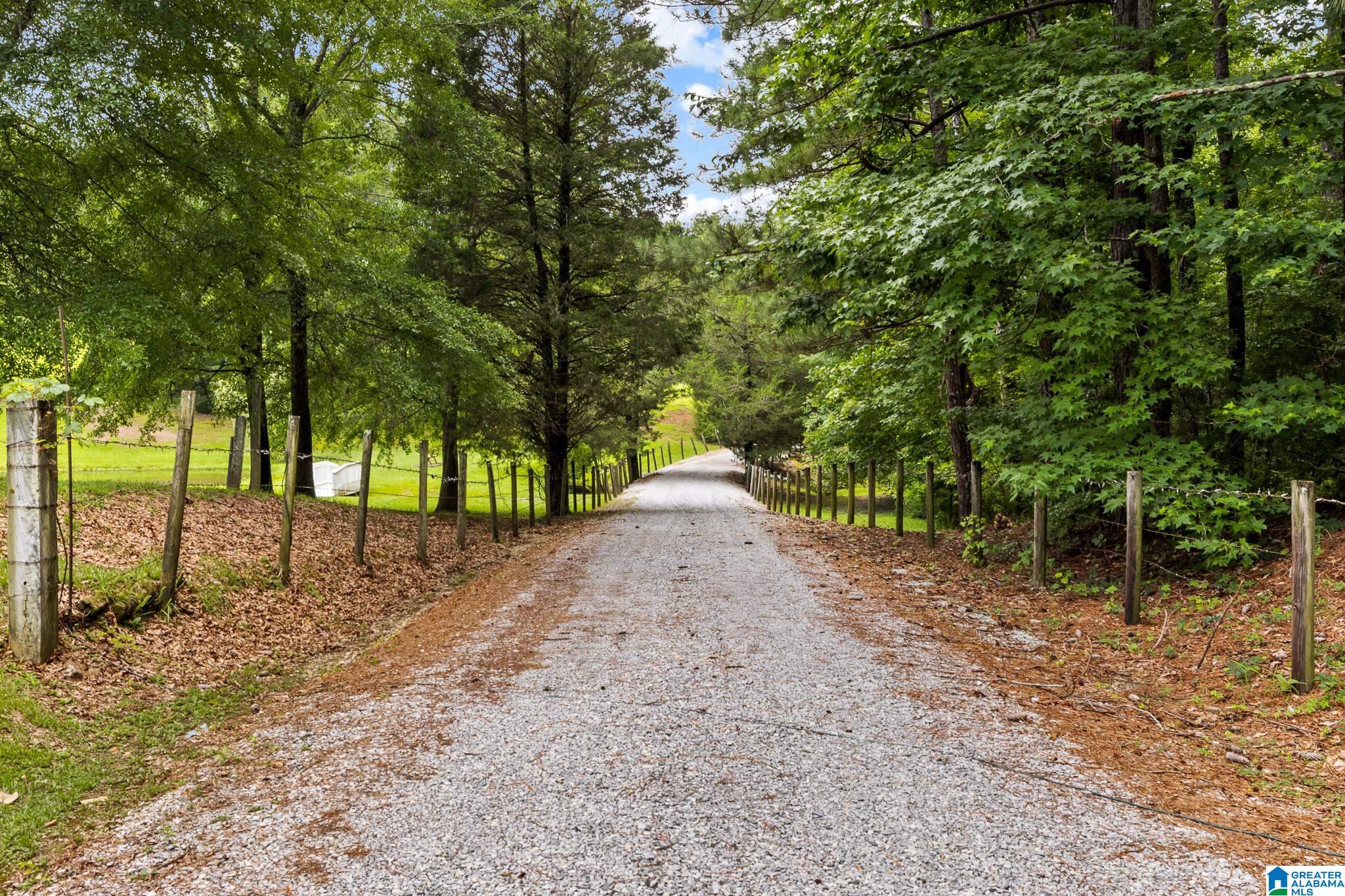 860 Sweet Apple Road Pell City, AL 35128 - Photo 6 of 62