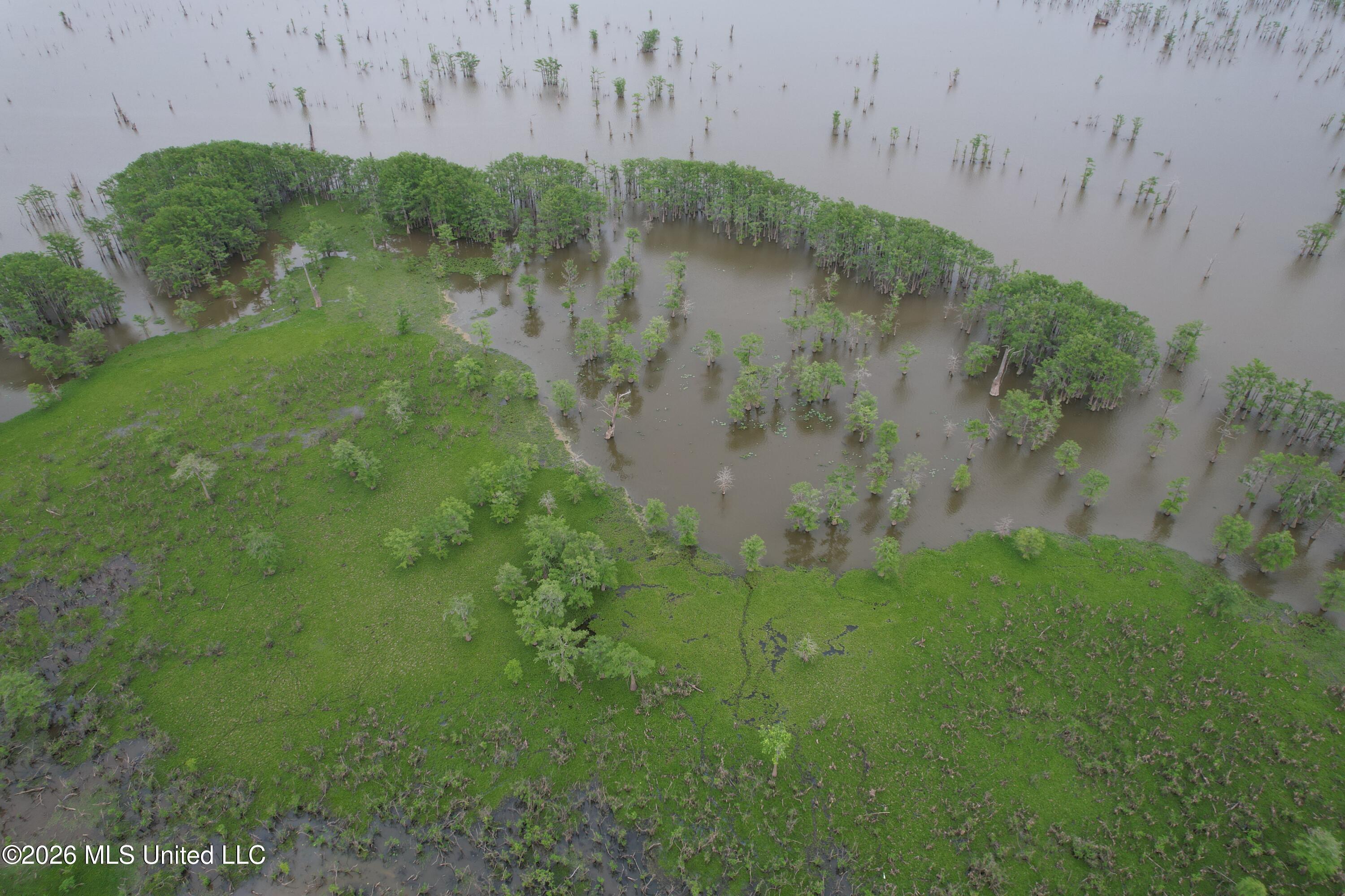 Lake Mary Road Woodville, MS 39669 - Photo 23 of 39 DJI_0986
