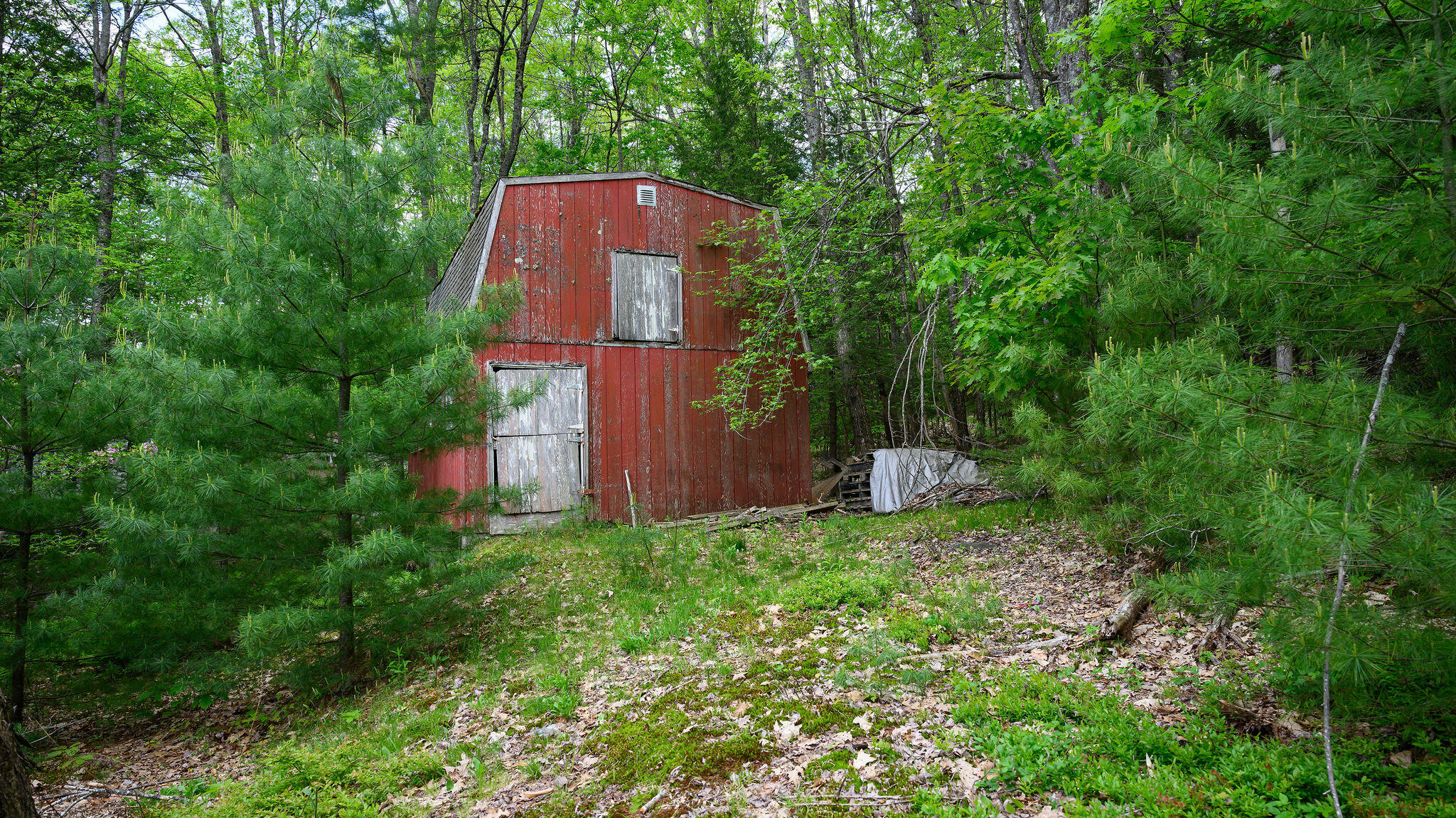 428 Cathance Road Topsham, ME 04086 - Photo 28 of 30 428CathanceRd-8001