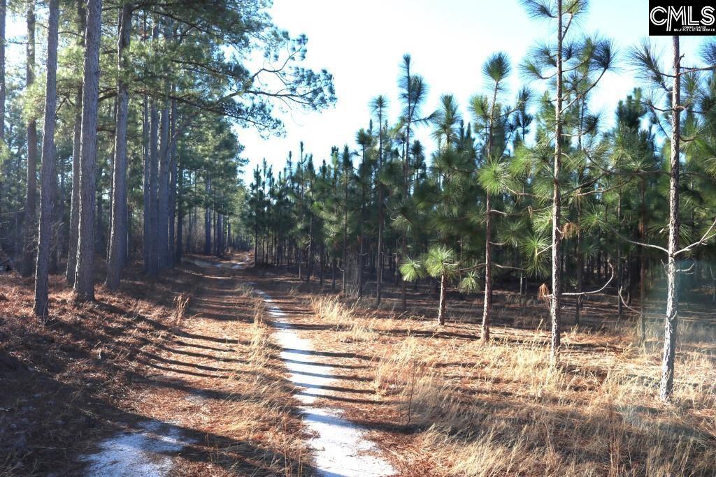 Holstein Road Wagener, SC 29164 - Photo 14 of 26