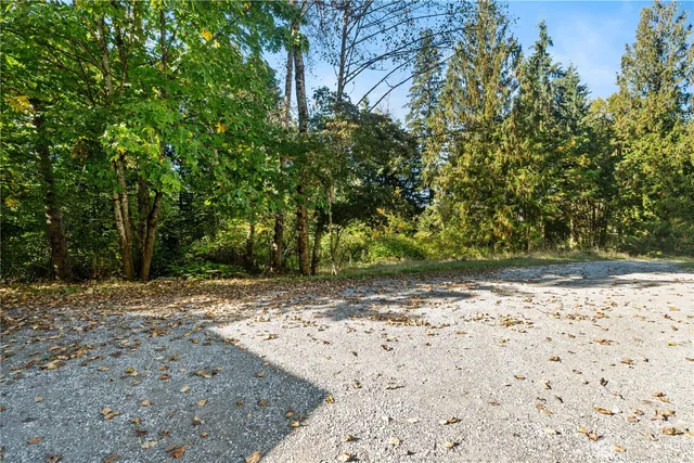 a view of a yard with pathway