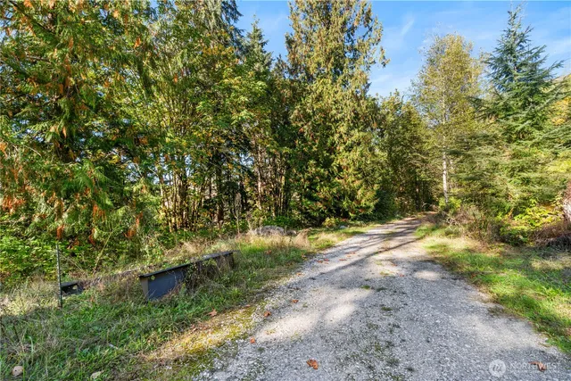 a view of backyard with green space