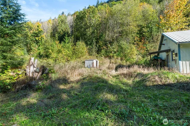 a big yard with lots of green space and deers