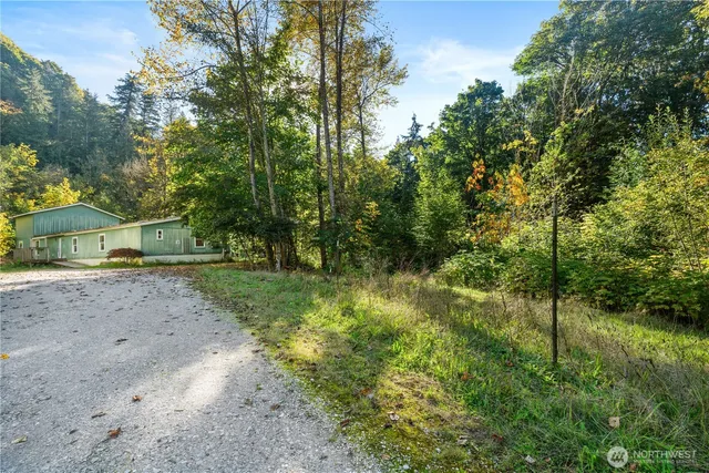 a view of a forest with trees