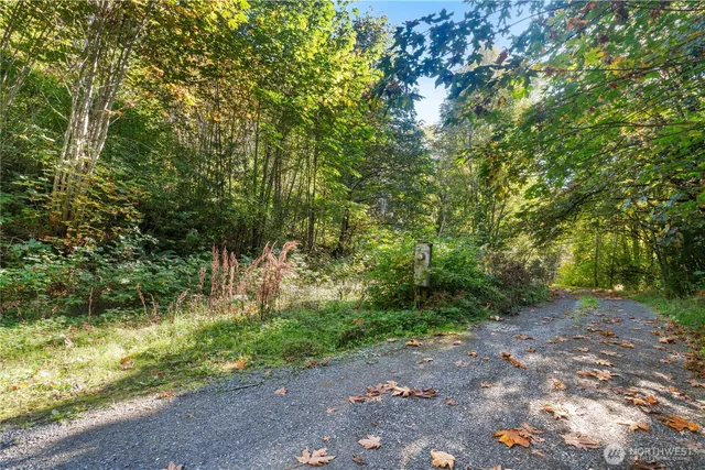 a view of a yard with a tree