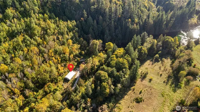 a view of a garden with plants