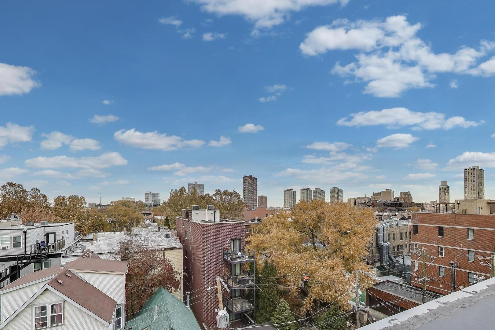 822 West Buckingham Place, Unit 301 Chicago, IL 60657 - Photo 22 of 26 a view of a city