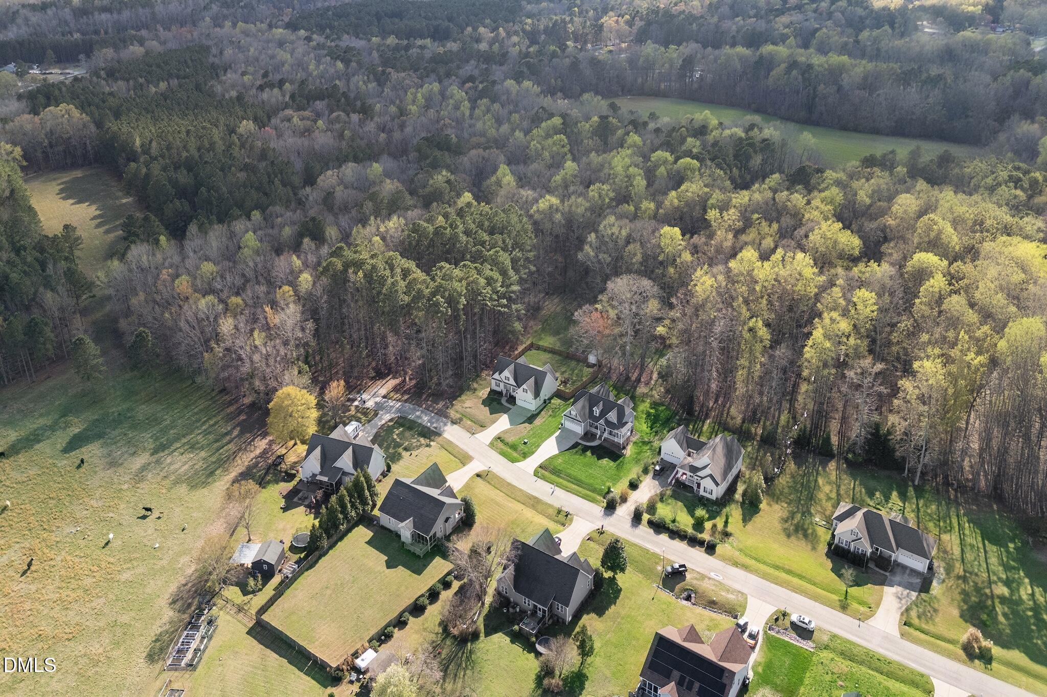 7340 Shady Stroll Lane Willow Spring, NC 27592 - Photo 63 of 67 DJI_20240904145048_0631_D