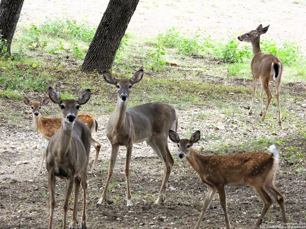 a view of balcony and patio