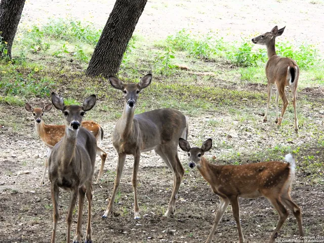 a view of balcony and patio