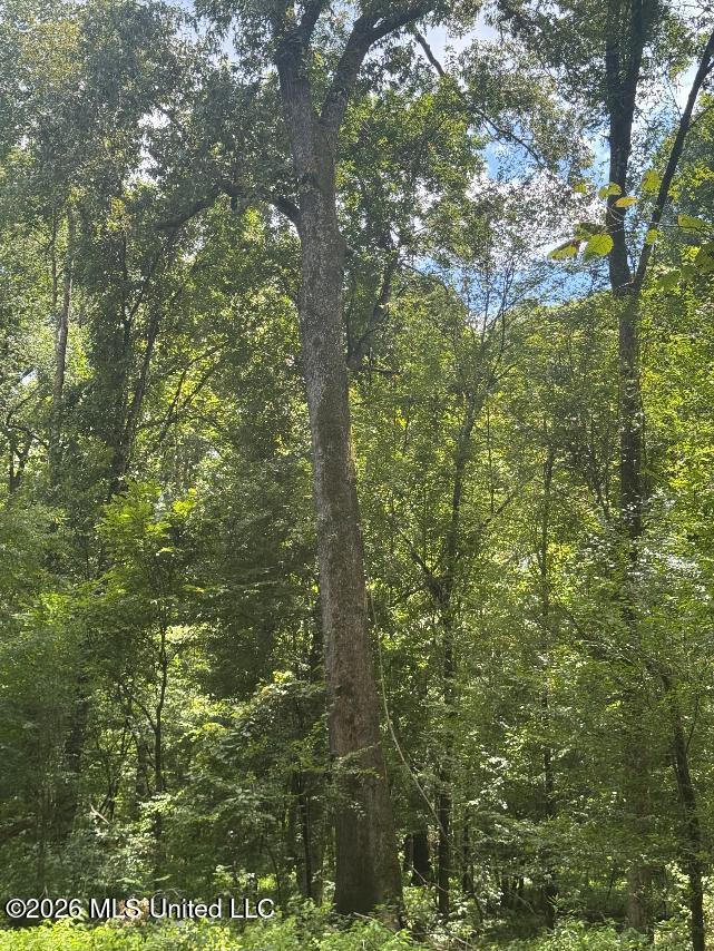 33 Highway Roxie Ms 39661 Roxie, MS 39661 - Photo 29 of 47 32