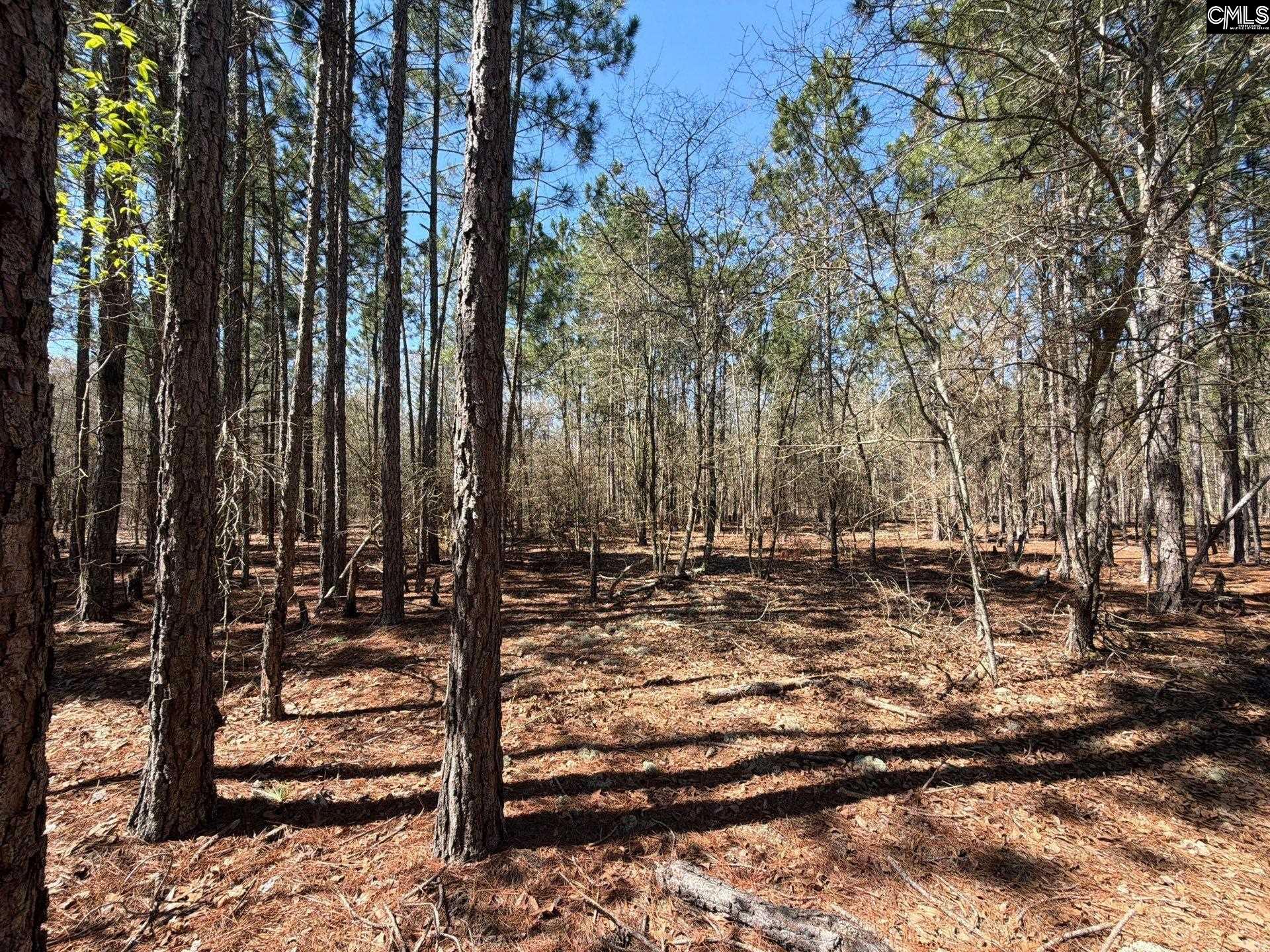 10 Boise Cascade Road, Unit BHL 10 Bethune, SC 29009 - Photo 12 of 24
