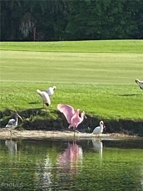 2417 Wulfert Road Sanibel, FL 33957 - Photo 47 of 50 a view of a lake with a big yard