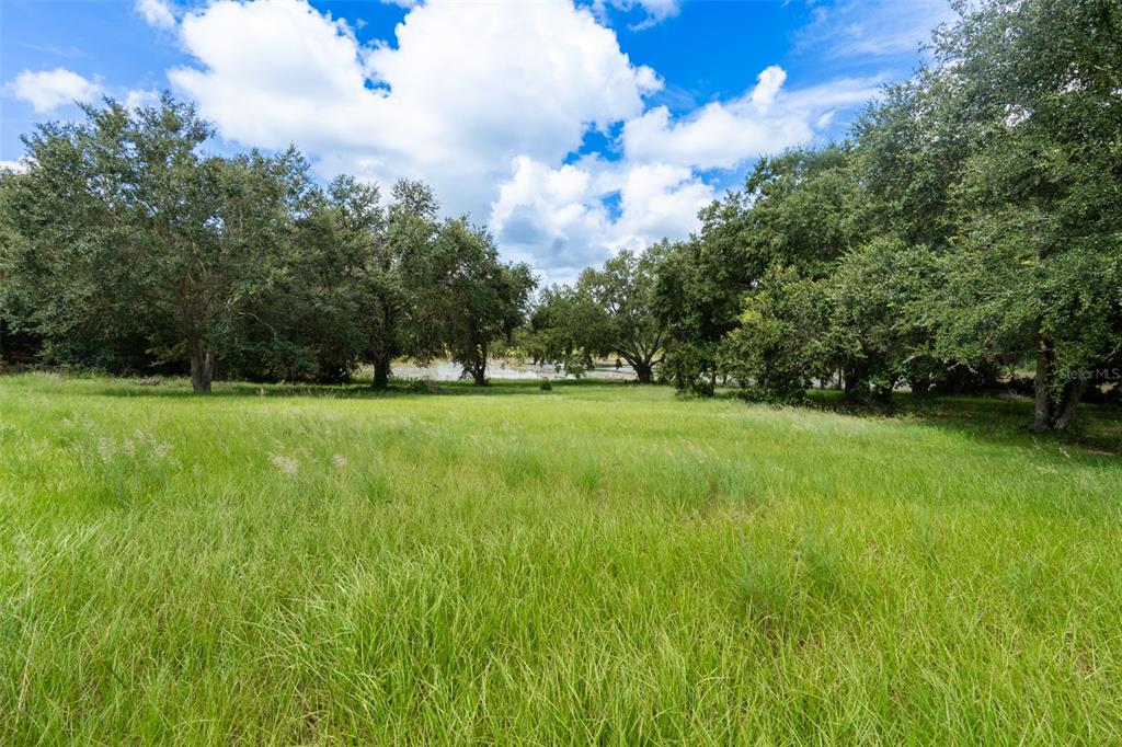18301 South Obrien Road Groveland, FL 34736 - Photo 20 of 35 a view of a golf course with a golf course