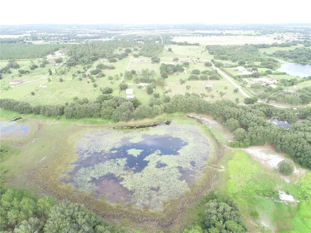 a view of a lake in middle of forest