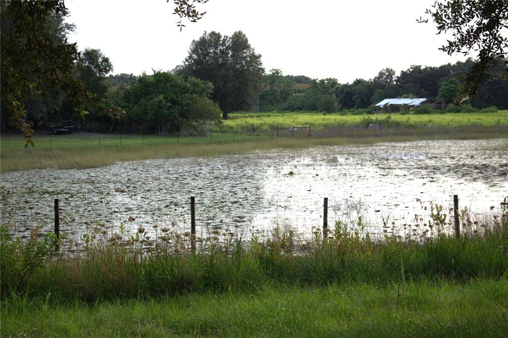 18301 South Obrien Road Groveland, FL 34736 - Photo 32 of 35 a view of lake with green space