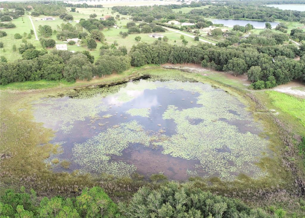 18301 South Obrien Road Groveland, FL 34736 - Photo 33 of 35 a view of a yard with a yard