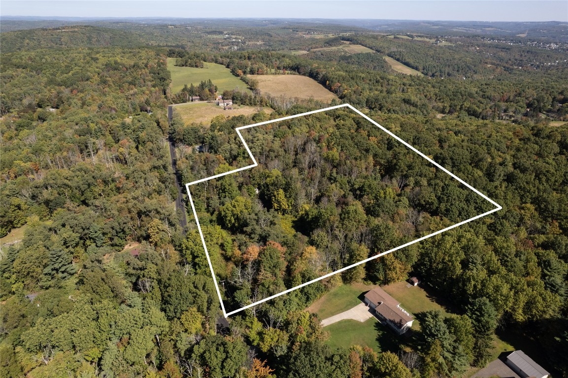 2494 Cafferty Hill Road Endicott, NY 13760 - Photo 5 of 6 Gallery Image 5