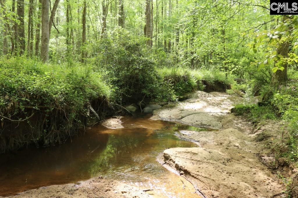 Beulah Road Leesville, SC 29070 - Photo 11 of 19