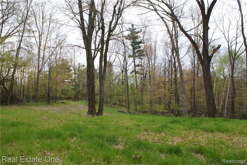 2 McKeen Lake Road Columbiaville, MI 48421 - Photo 36 of 51