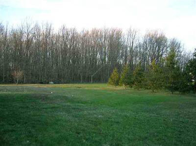 8296 Potter Road Flushing, MI 48433 - Photo 2 of 10 20239370-1.JPG